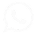 WhatsApp Icon